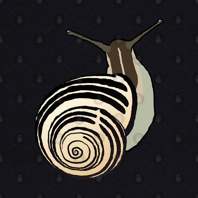 Snail by pomoyo